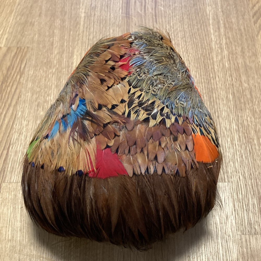 Vintage Feather Hat